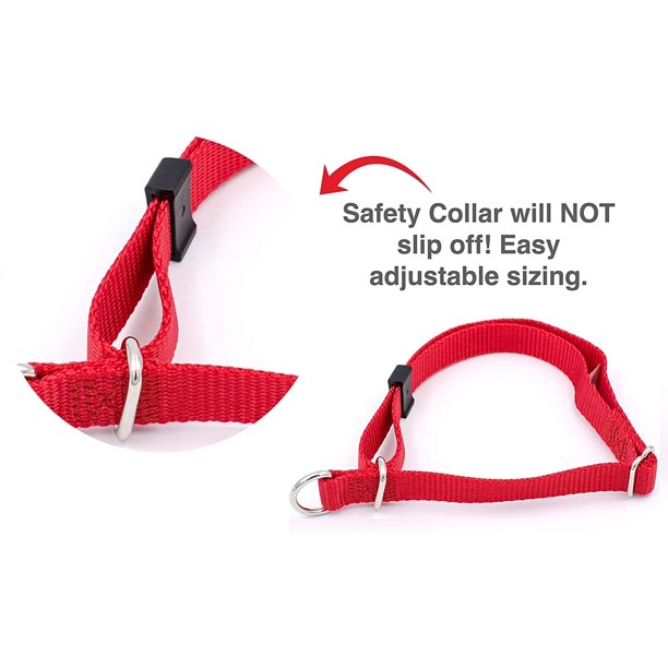 Safety Nylon/Mesh Dog Collar, Assorted, Medium