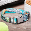 Pet Collar with Metal Clasp, Color: Teal (Large 16"-26" 1 in)