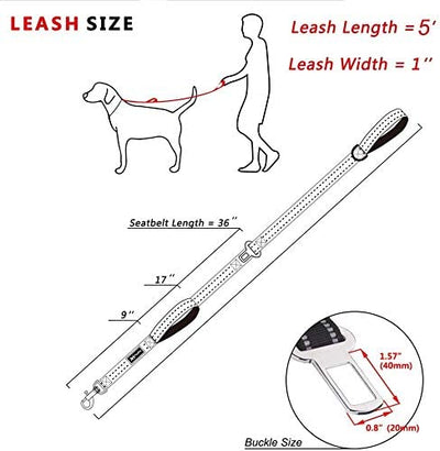 5 Feet Dog Leash, Reflective, 2 Cushioned Handles