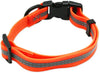 Durable Anti-odor Waterproof Pet Collar, size s, Orange