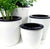 3 Pack Self Watering Planter African Violet Pots Plastic White