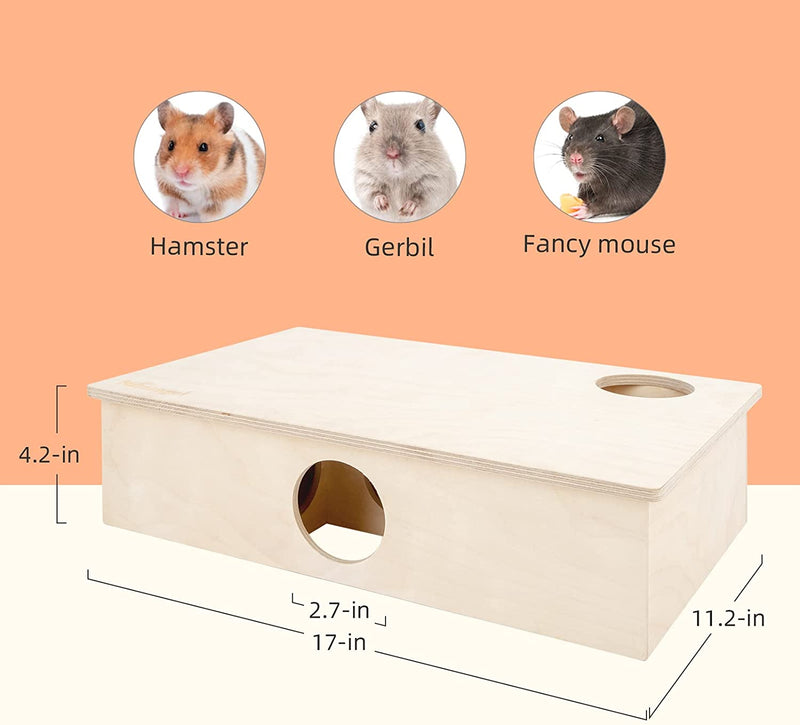 Multi-Room Maze House for Small Rodent Pets, 6-Room Large