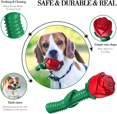 Dog toys, natural rubber chews for training and dental cleaning