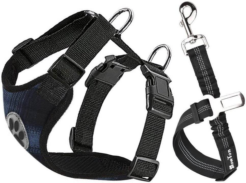 Pet Car Harness Plus Connector Leash, C2-Azul y Negro