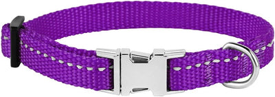 Pet collar with metal buckle, purple, 7-11 Inch