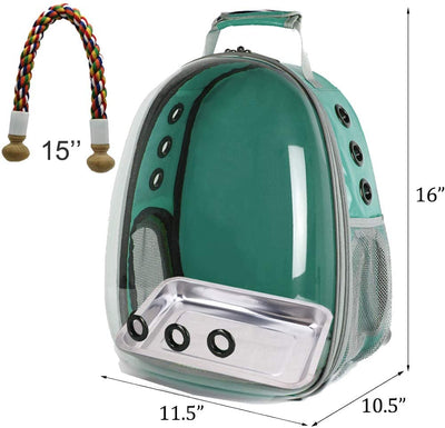 Stainless Steel Carrier Backpack and Bird Perch (Green)