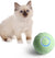 Interactive Pet Balls with USB Charge