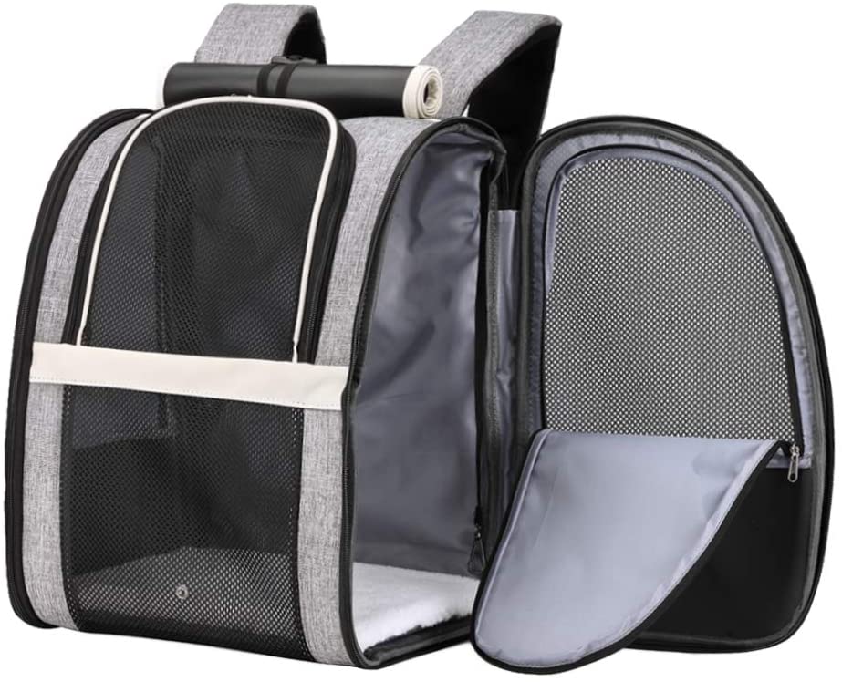 Pet Backpack,Ventilated Design,13"Lx10.63"Wx16.54"H,black