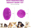 Pet chew toys, purple