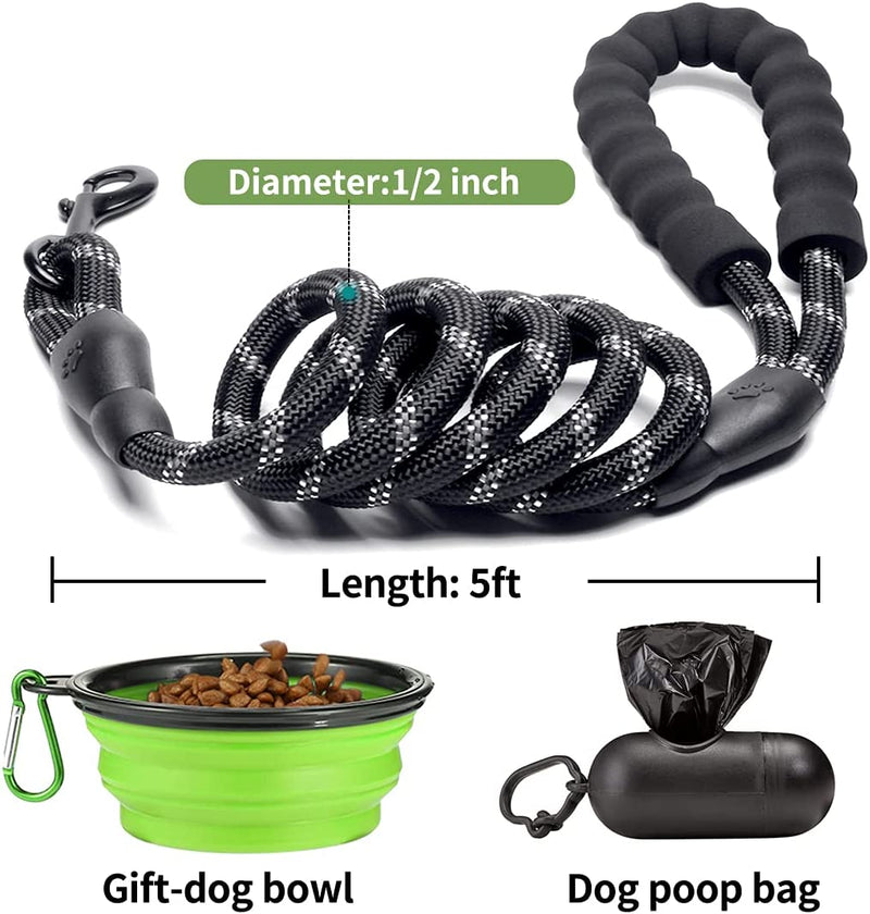 2 Pack 5' Heavy Duty Dog Leashes, Set 6 / Black / Green