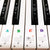 Piano Keyboard Stickers for 88/61/54/49/37 Keys, Multicolor