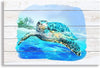 Canvas Wall Art, Sea Turtle Wall Decor 16x12 inch