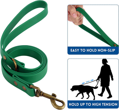 Pet Collar and Leash Combo Set, Size l, Deep Green