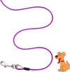 10ft Galvanized Steel Wire Pet Leash,purple