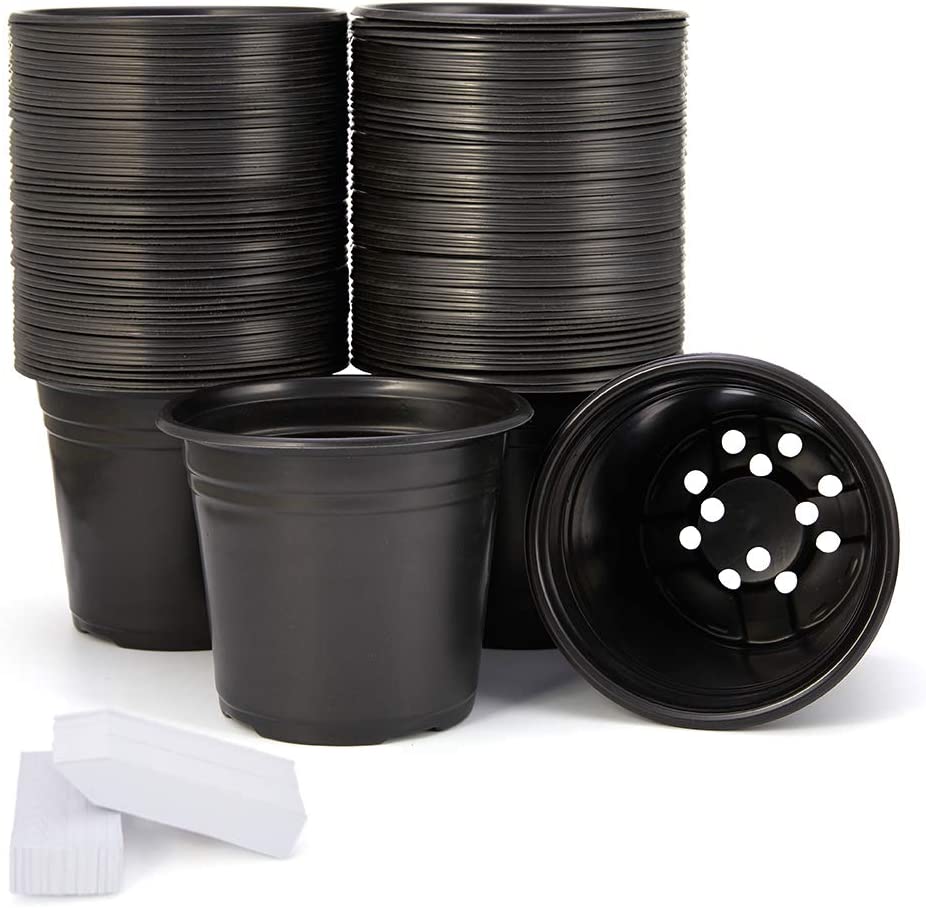 Pack of 100 0.5 Gallon Plant Nursery Pots