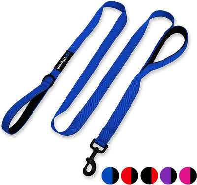 Large-Medium Two-Double Handle Pet-Leash, Blue