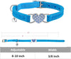 Collar with seat belt and bell 8 to 10 inches for cats (blue)