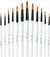 12 professional round tip brushes (Round Tip/12 Different Size)