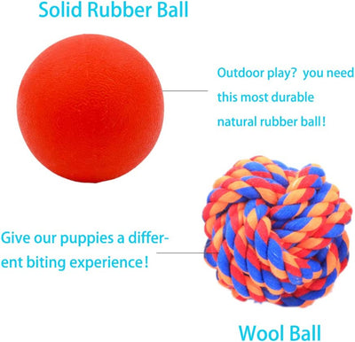 Interactive pet toys with 5 different functions, 4 pack