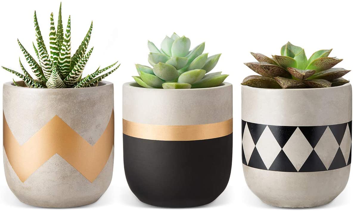 Set of 3 cement pots for succulents, cacti, herbs or small plants