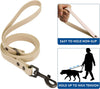 Pet Collar and Leash Combo Set, Size m, Sand