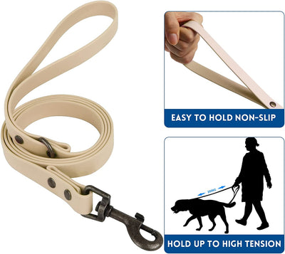 Pet Collar and Leash Combo Set, Size l, Sand