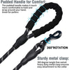 2 Pack 5' Heavy Duty Dog Leashes, Set 4 / Black / Grey