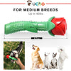 Dog toys, natural rubber chews for training and dental cleaning