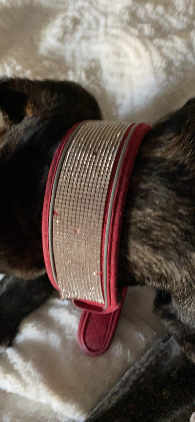 Pet Collar Soft Comfortable Stylish, Red