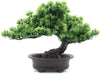 Artificial Bonsai Tree Japanese Juniper Fake Plants