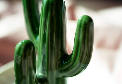 4.5" Glazed Ceramic Ring Dish - Green Cactus