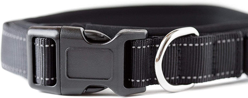 Reflective Padded Dog Collar for Running, Color: Black