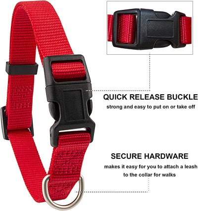 Pet collar and leash set, red, Small, Collar 10-14", 5/8"