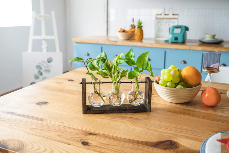 Plant Terrarium with Wooden Stand, Wall Hanging Glass Planter Tabletop