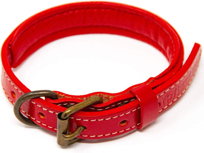 Padded Dog Collar, Small, Fits 10"-12" Necks, Colour: Red