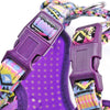 Multicolored Dog Vest Harness and Leash Set (Large - Purple)