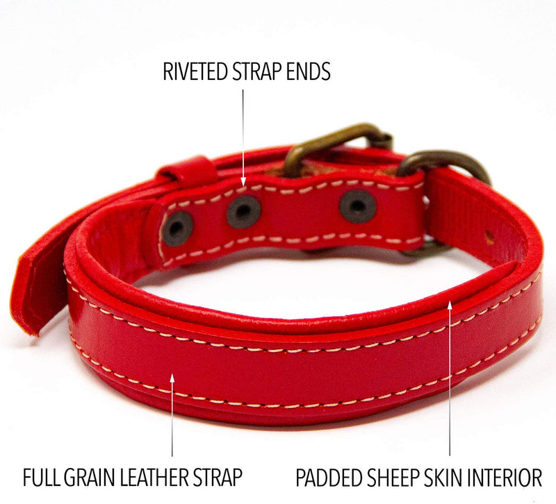 Padded Dog Collar, Small, Fits 10"-12" Necks, Colour: Red