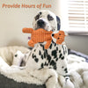 5-Pack Plush Pet Toys