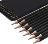 Professional Drawing Pencil Set, 12 Graphite Pencils (12B - 4H)