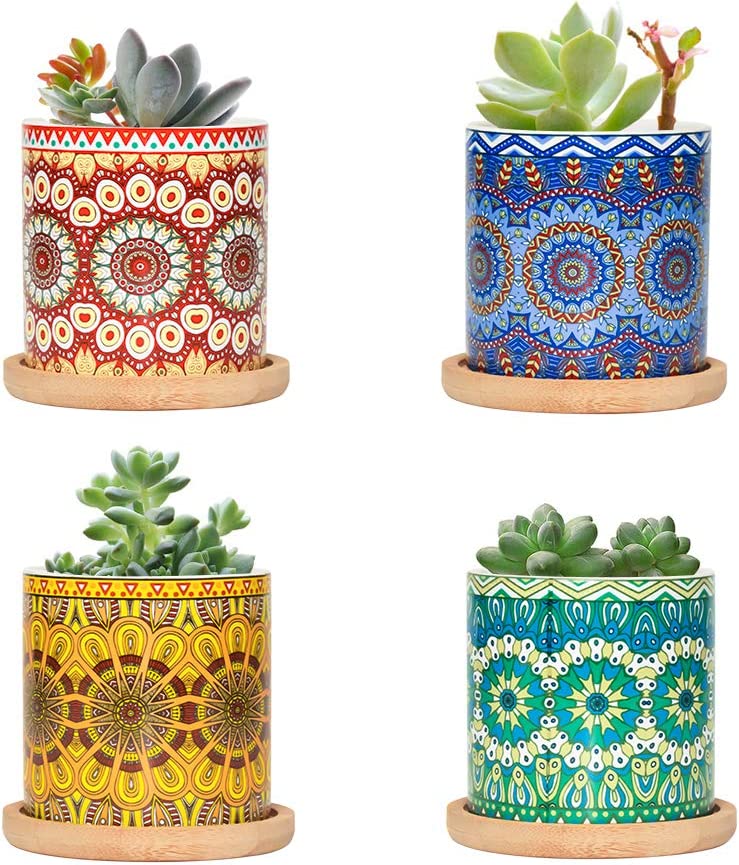 Succulent Pots x 4, 3 inches, Trays, Ceramic, Cylindrical