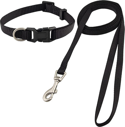 Pet collar and leash set, black, XS, Collar 8-12", 3/8"