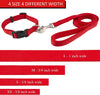 Pet collar and leash set, red, Small, Collar 10-14", 5/8"