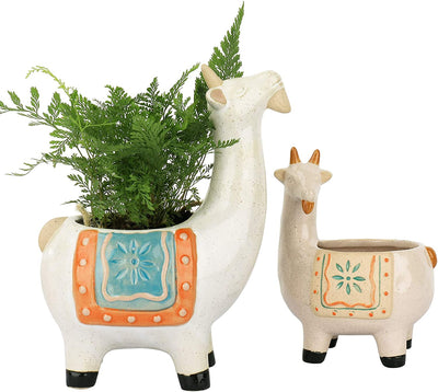 Ceramic Goat Succulent