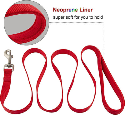 Pet collar and leash set, red, Small, Collar 10-14", 5/8"