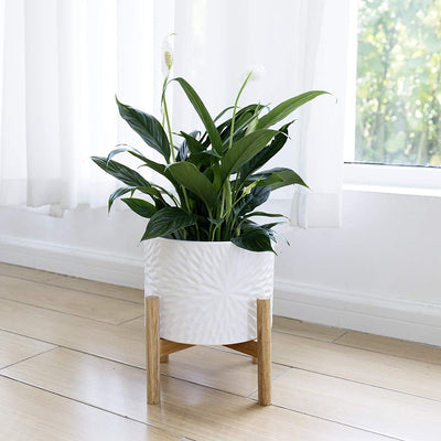 Ceramic Plant Pot with Wood Stand