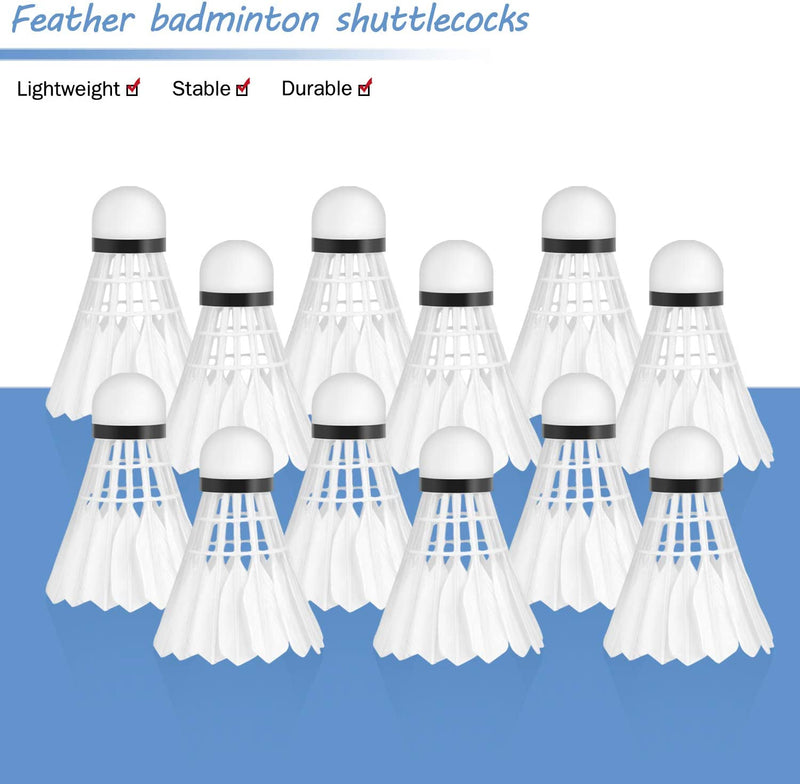 Badminton Birdie, 12 Pack, (Milky White)