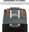 Premium Pet Carrier,16.93"x9.45"x11.02"inches Deep Grey