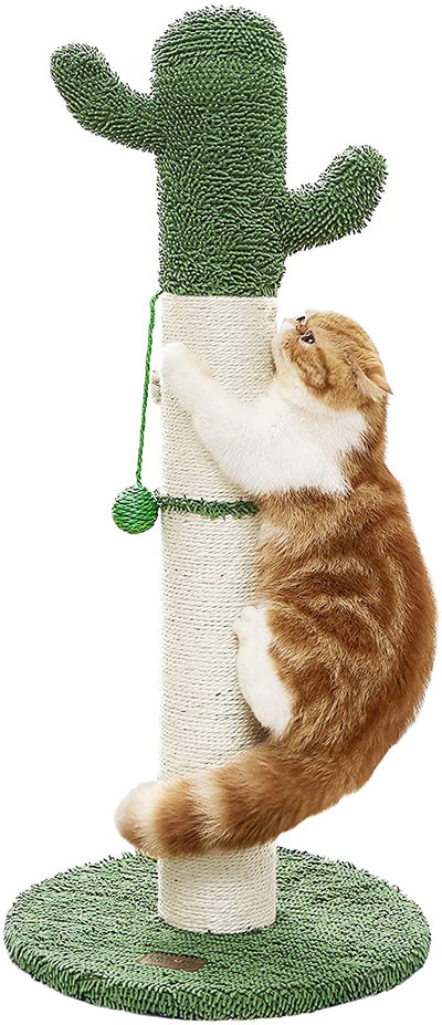 Cactus Pet Scratcher with Ball, 25.6, 34" Height