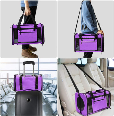 Pet carrier, large, purple