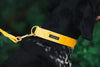 Velvet Pet Collar and Leash Set, Size m, Deep Yellow